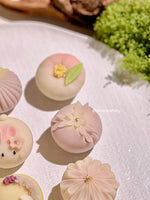 2025 Mid-Autumn - Wagashi Gift Box